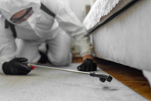 Professional Bed Bug Control technician working in Fort Dodge, IA