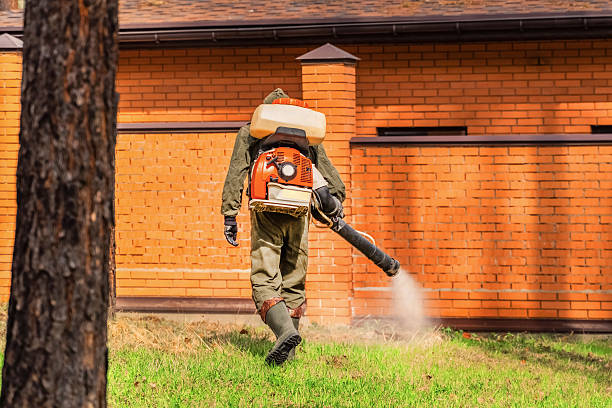 Trusted Cockroach Control service in Fort Dodge, IA - Nex Pest Control